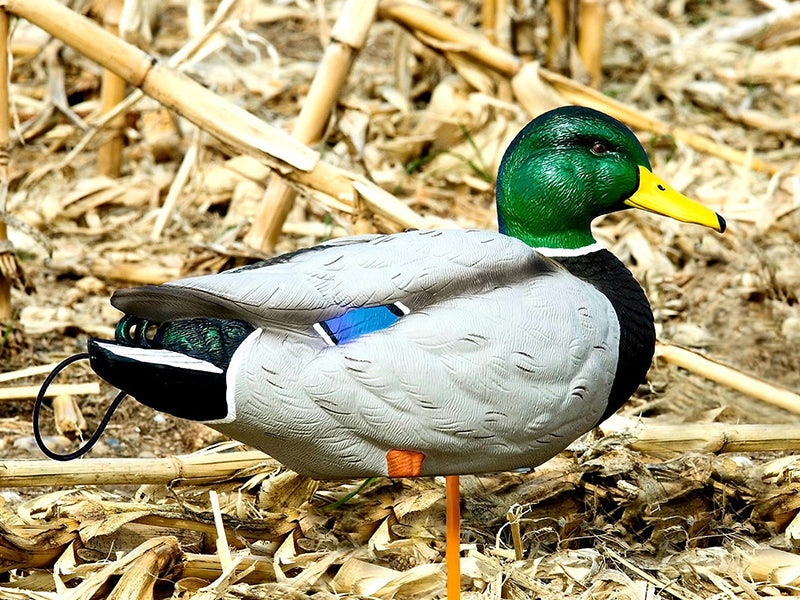 Mallard Decoys