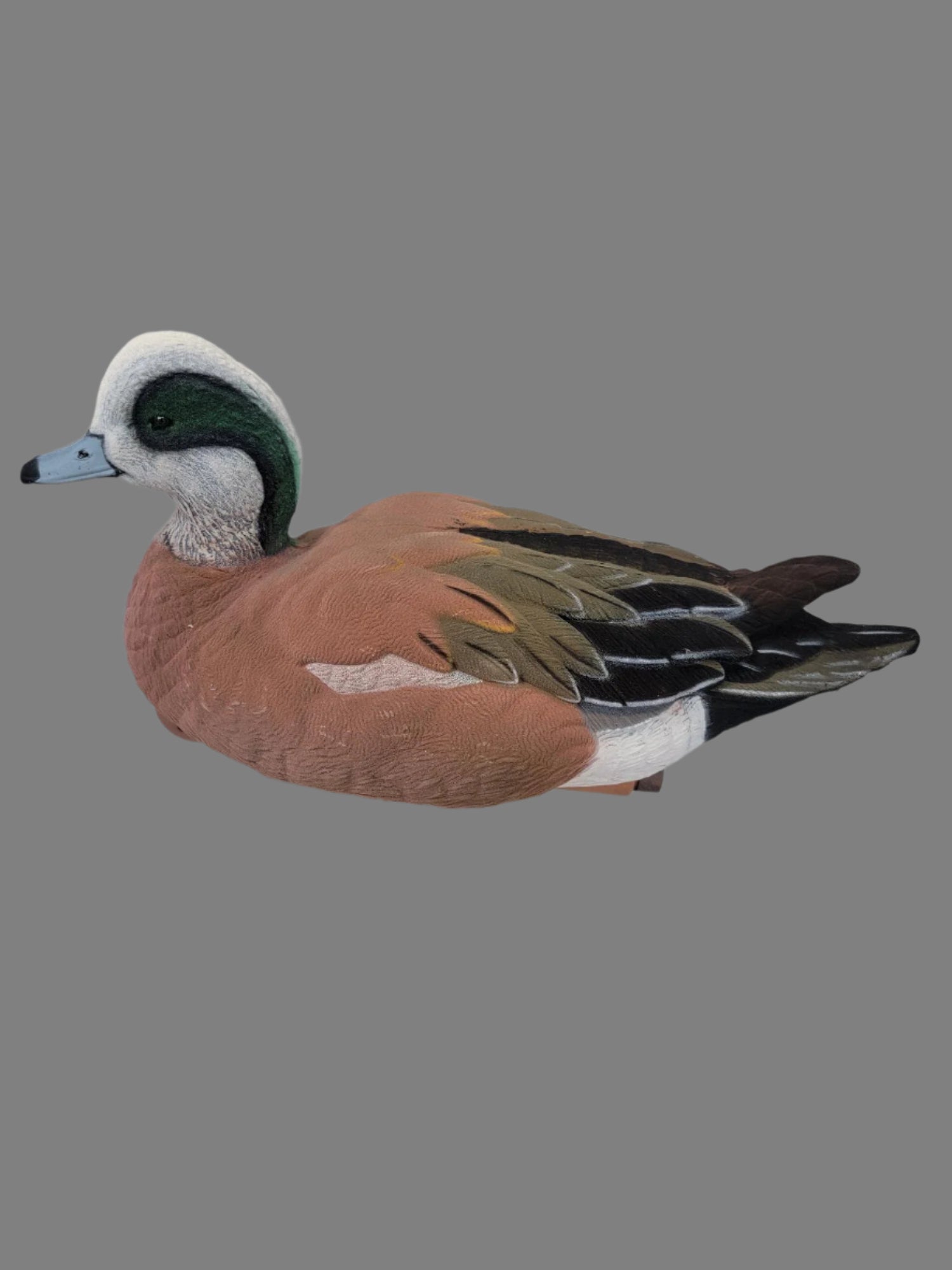 flocked floater wigeon duck decoy