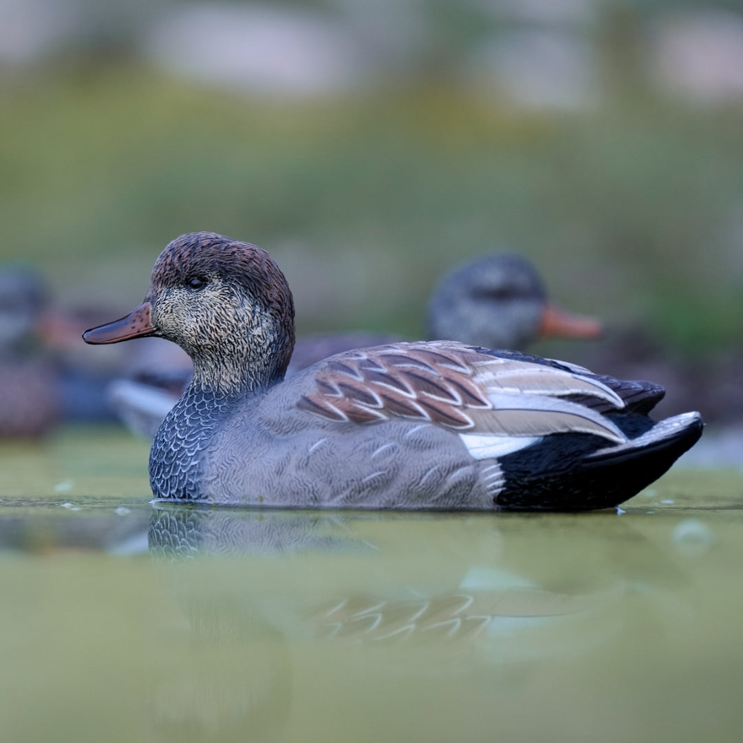 sx gadwall duck decoy