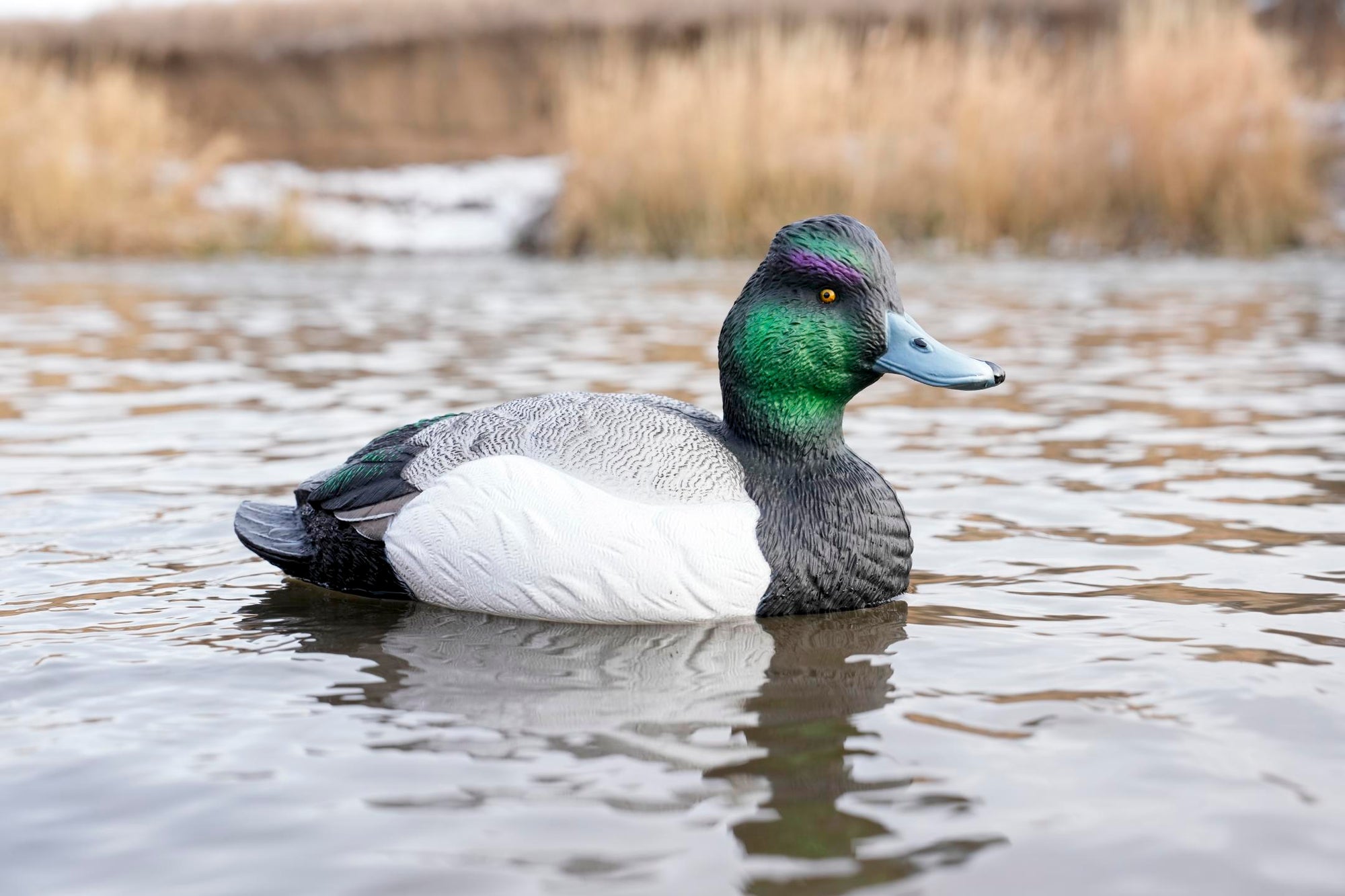 SX bluebill decoys