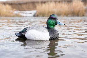 sx bluebill duck decoy