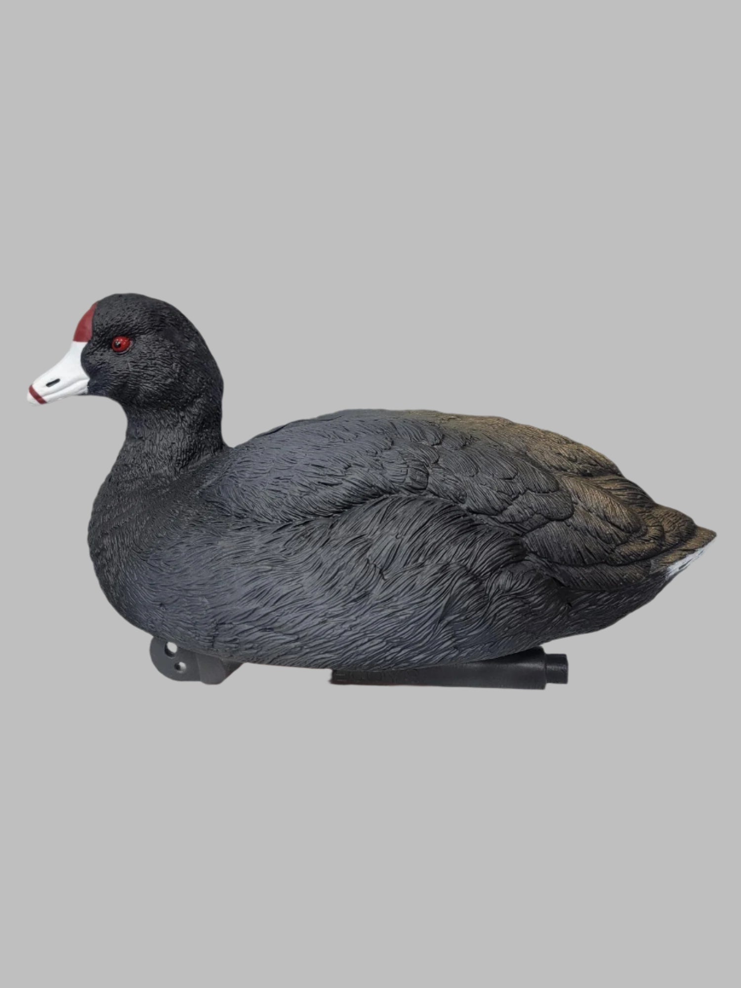 SX decoy floater coot duck decoy 