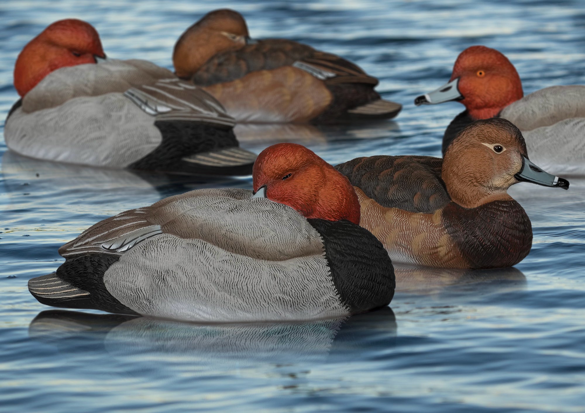 sx red head duck decoys