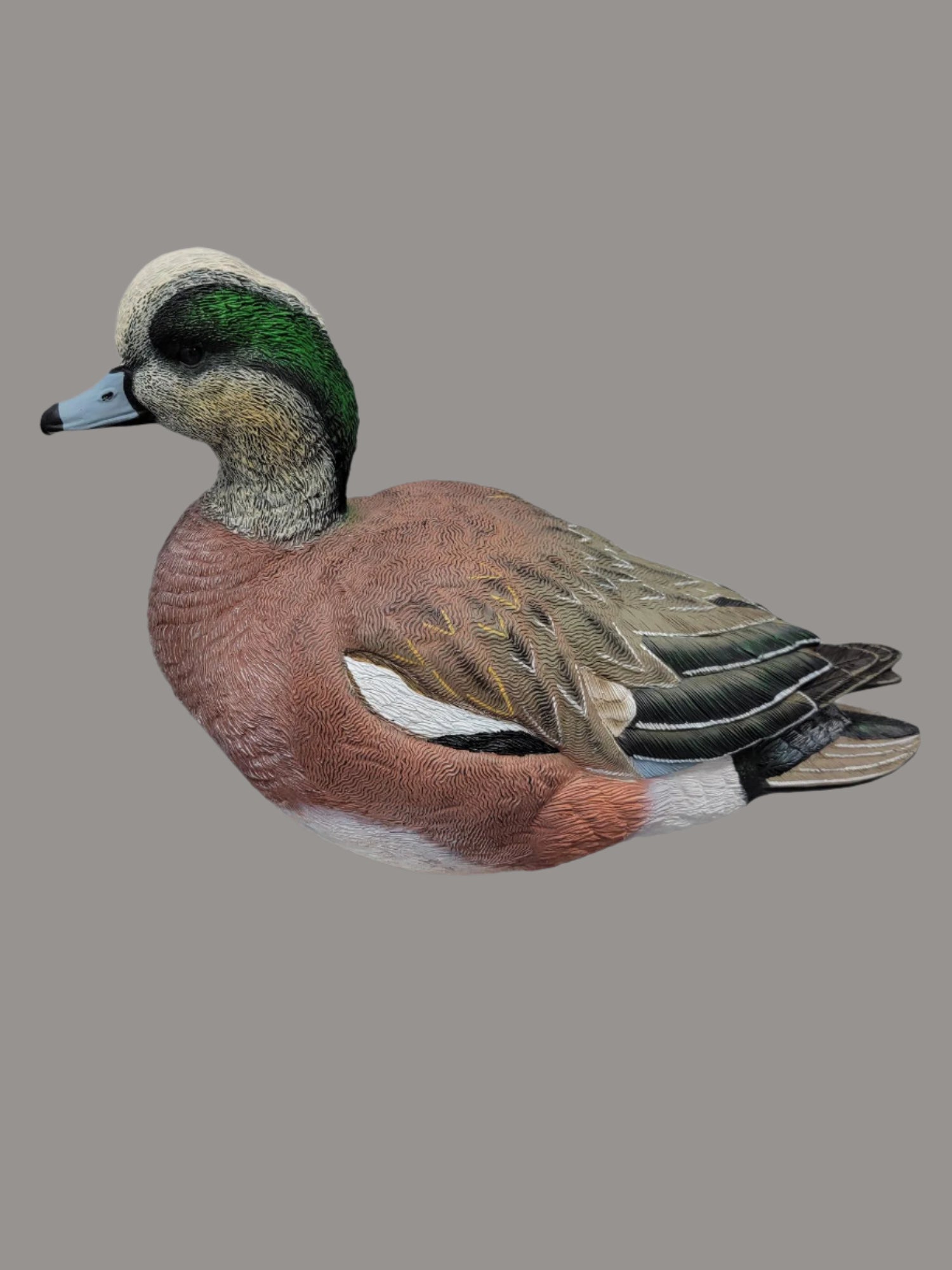 wigeon full body duck decoy