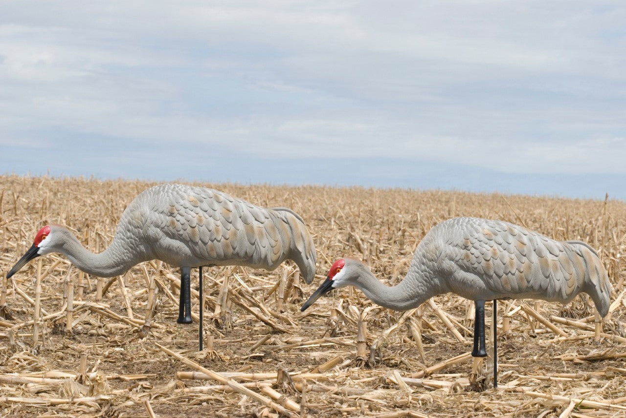 feeder sandhill crane decoys