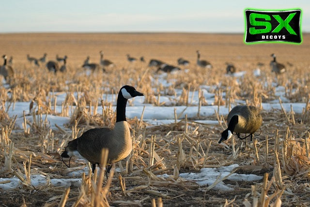 Flocked full body canada goose decoys