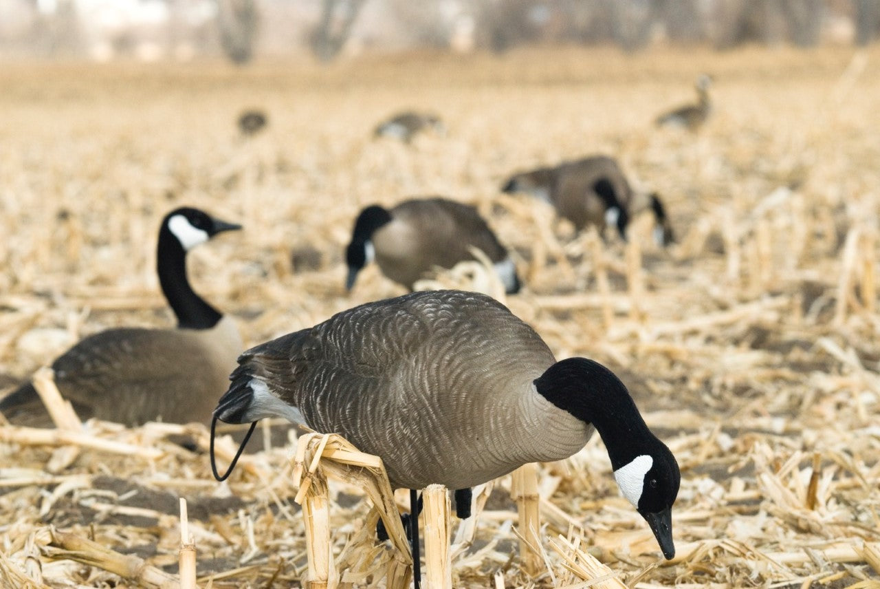 Decoy flocking kits