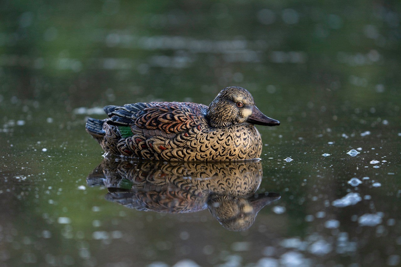 Green Winged duck decoy hen