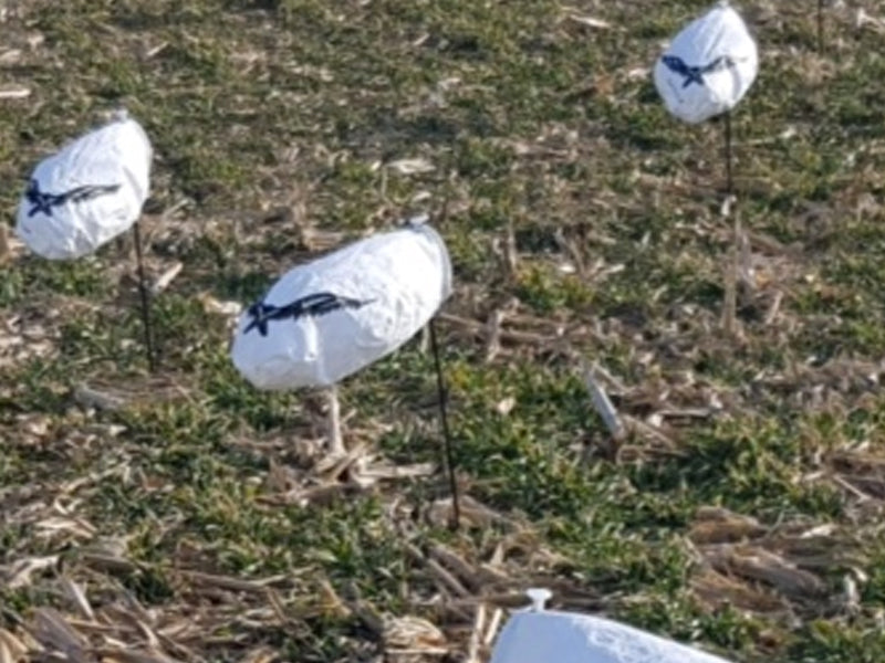 SX snow goose windsock decoys