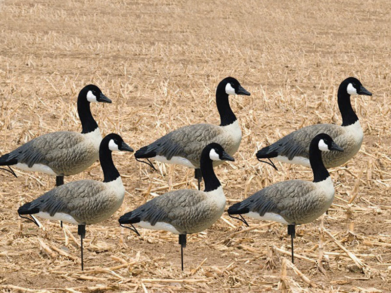 Goose decoys for deals sale