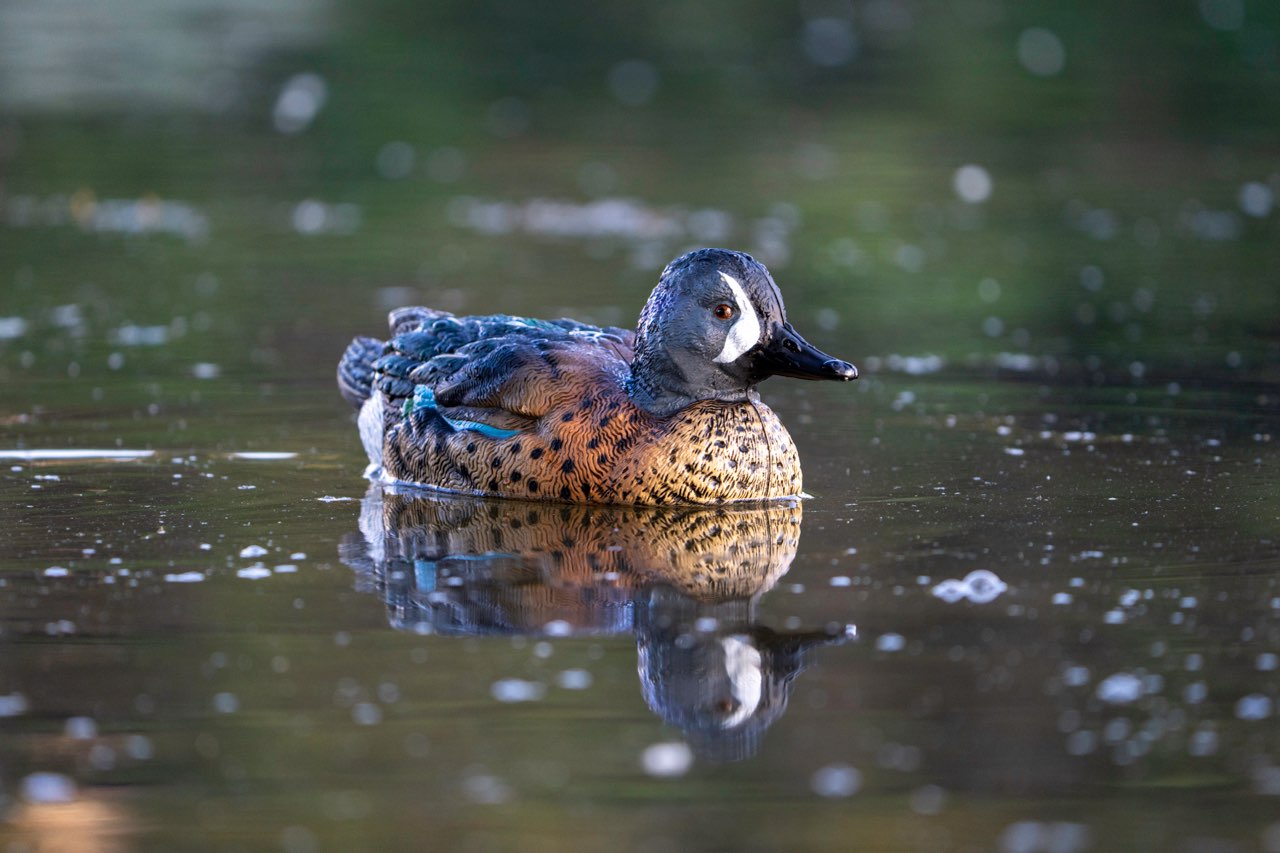 SX UV Decoy Flocking Kits - SX Decoys